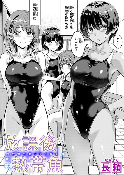 B915awnmg04509pl