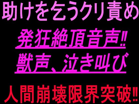 D 801081pl
